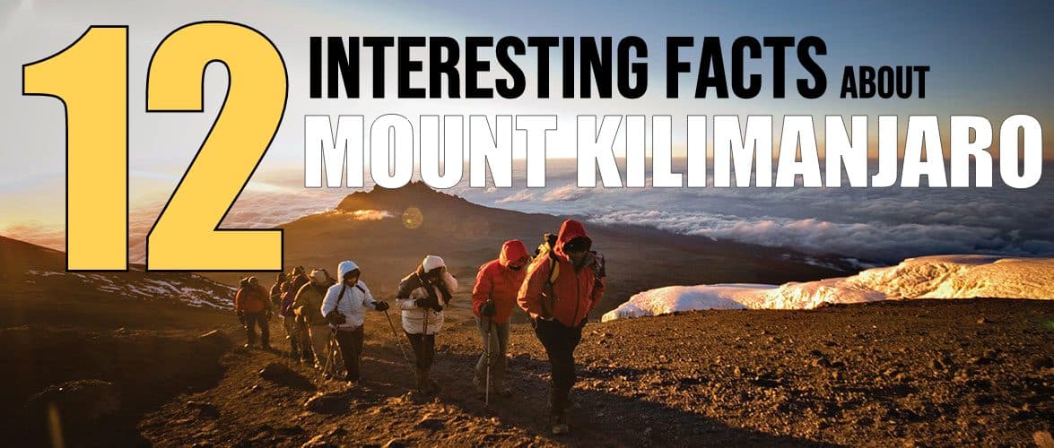 12 Interesting Facts About Mount Kilimanjaro