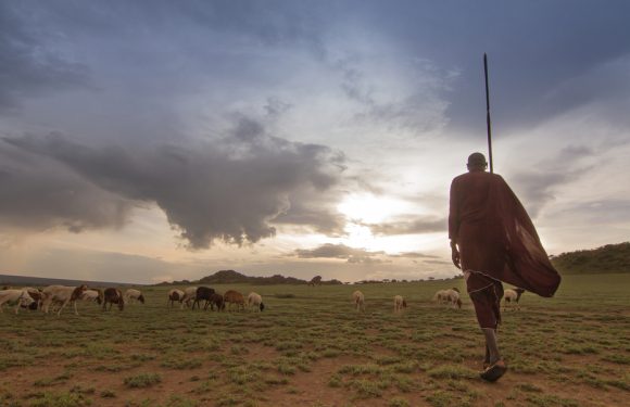 What’s the Masai Village Visit?
