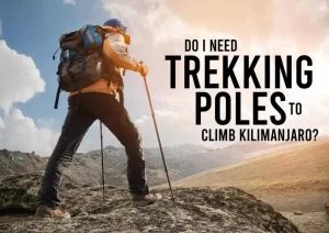 Do I Need Trekking Poles to Climb Kilimanjaro?