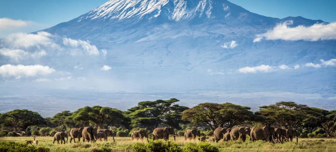 Ultimate Kilimanjaro Reports Record Number of People Climbing Kilimanjaro