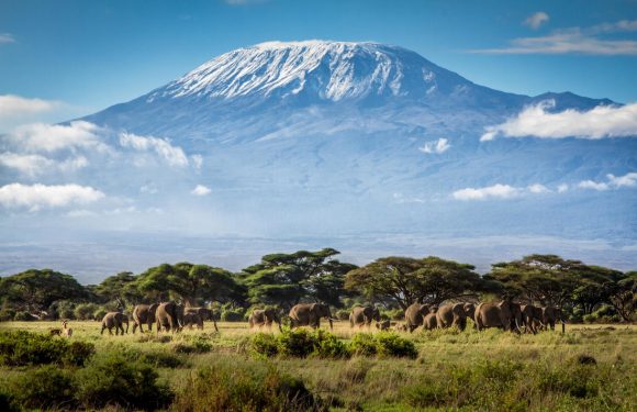 Ultimate Kilimanjaro Reports Record Number of People Climbing Kilimanjaro