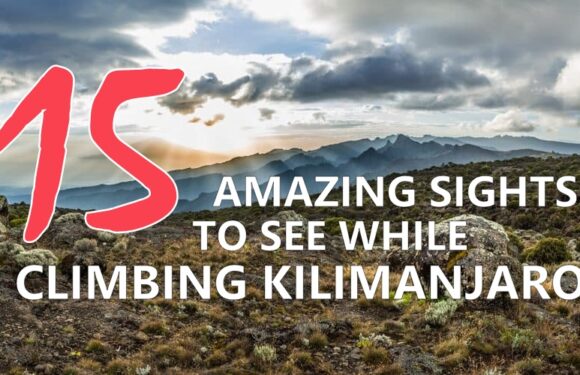 15 Amazing Sights to See While Climbing Kilimanjaro