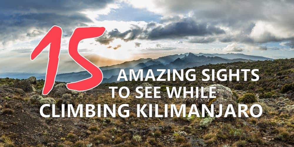 15-sights-kilimanjaro