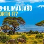kilimanjaro-worth-it