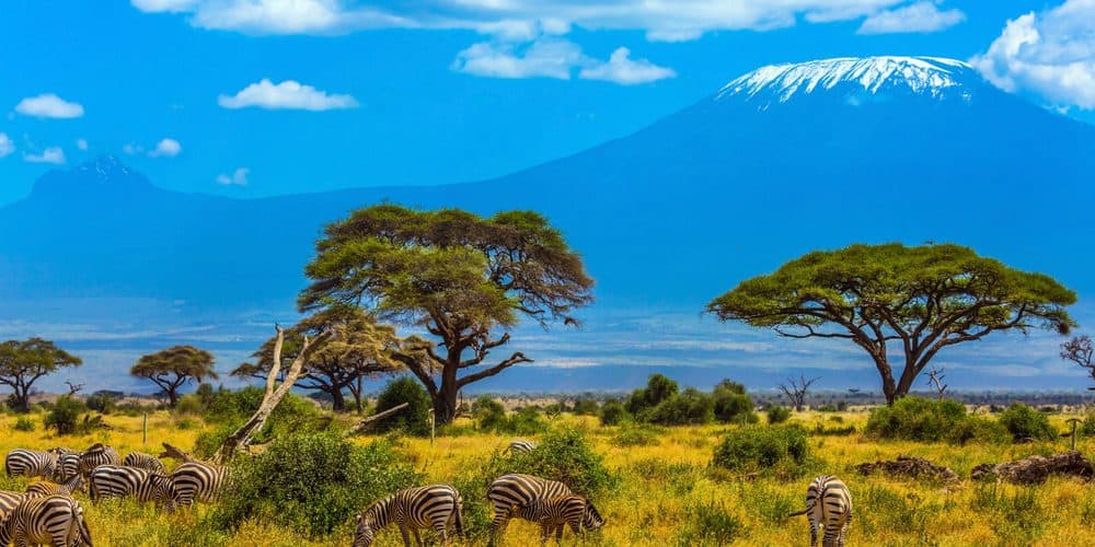 Is it Worth it to Climb Kilimanjaro?