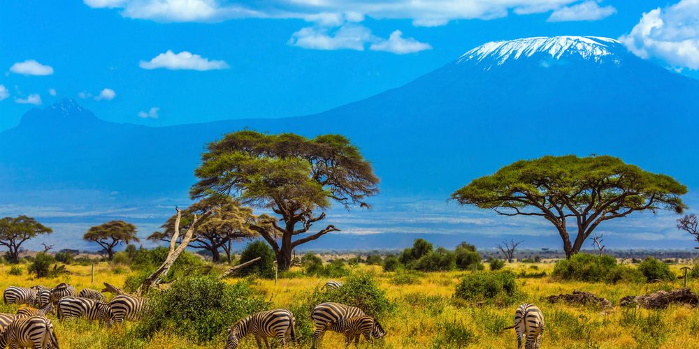 Is it Worth it to Climb Kilimanjaro? Ultimate Kilimanjaro