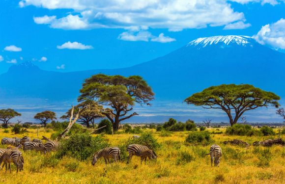 7 Things They Don't Tell You About Climbing Kilimanjaro | Ultimate ...