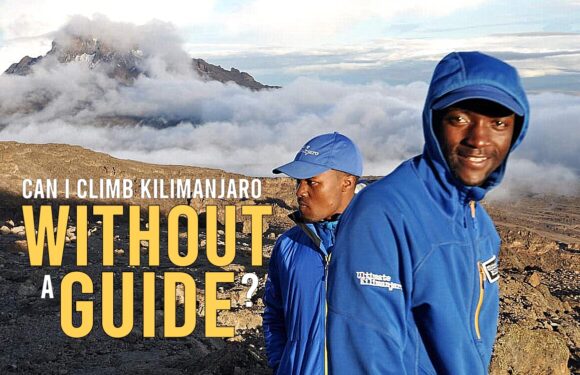 Can I Climb Kilimanjaro Without a Guide?
