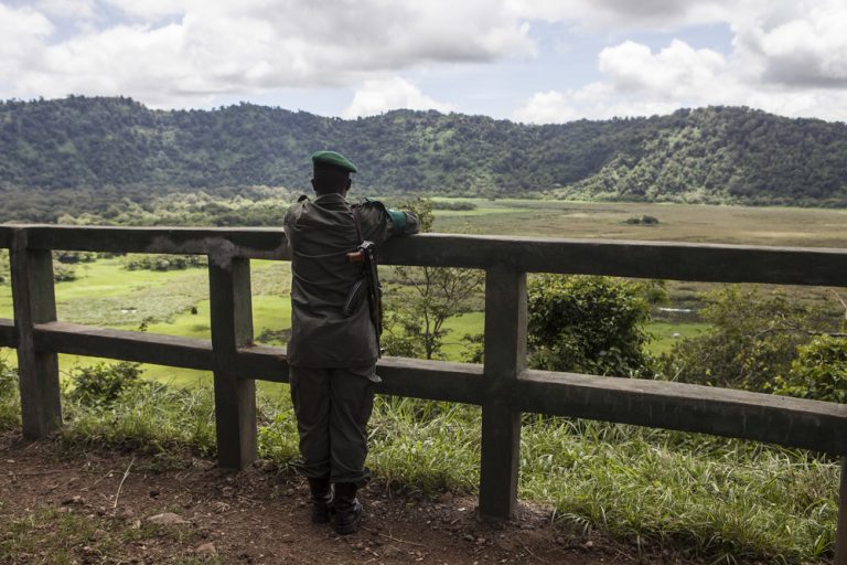 Can I Climb Kilimanjaro Without a Guide? Ultimate Kilimanjaro