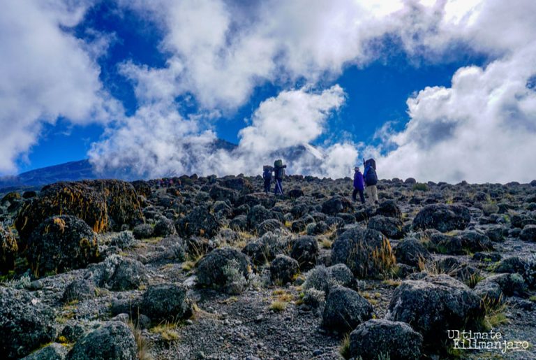 What is the Weather on Mount Kilimanjaro? Ultimate Kilimanjaro