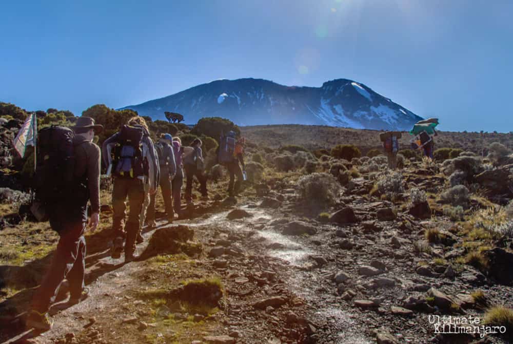 Umbwe | Ultimate Kilimanjaro