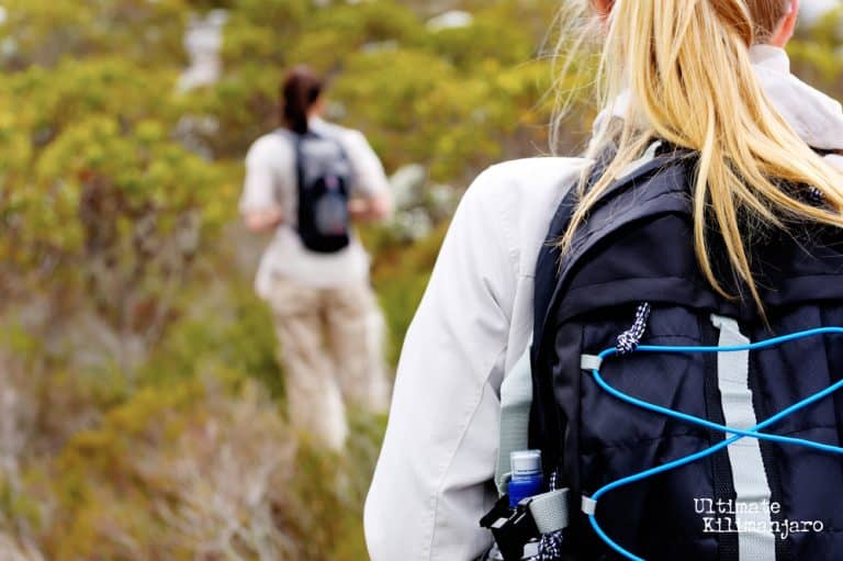 What Do I Need to Carry on Mount Kilimanjaro? Ultimate Kilimanjaro