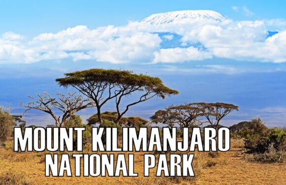 Mount Kilimanjaro National Park – Birth of a National Treasure