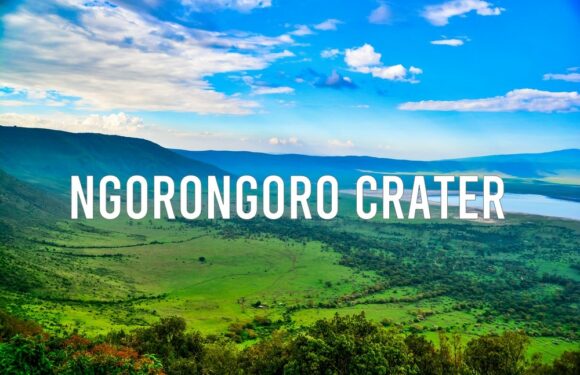 Ngorongoro Crater: A Unique Safari Experience