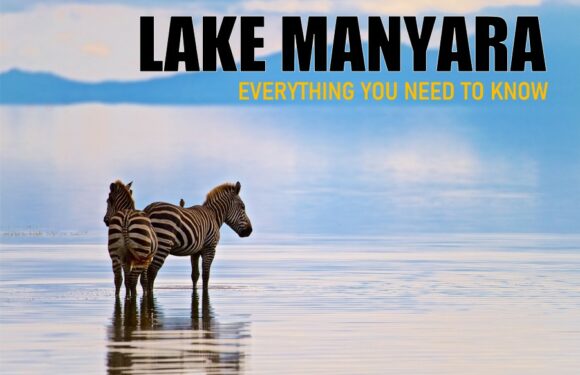 Lake Manyara National Park: Everything You Need to Know