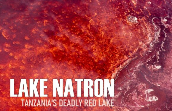 Lake Natron – the Deadly Lake That Turns Animals into Stone