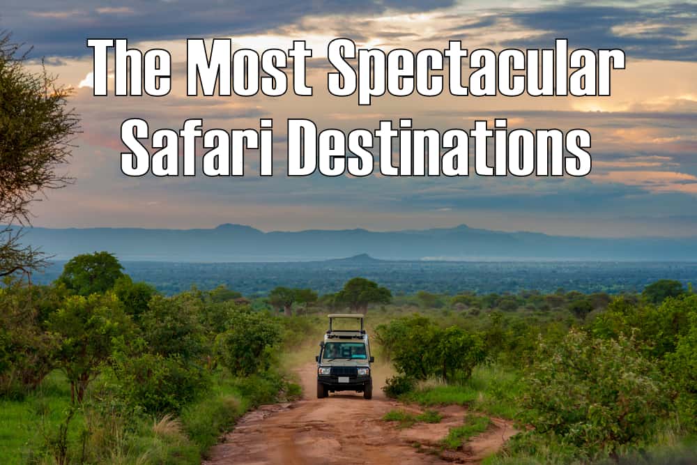safari afrika top 10