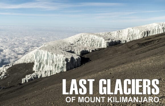 The Last Glaciers of Mount Kilimanjaro