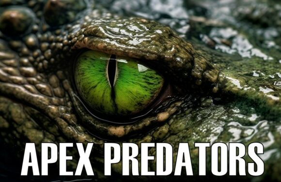 Apex Predators: What They Are, Why They Exist & Species List