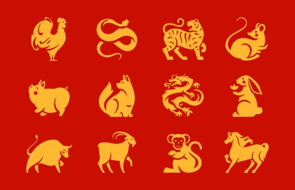 Chinese Zodiac Animals: What They Are and What They Mean