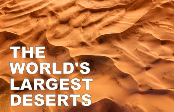 The 10 Largest Deserts in the World (Not What You Think)