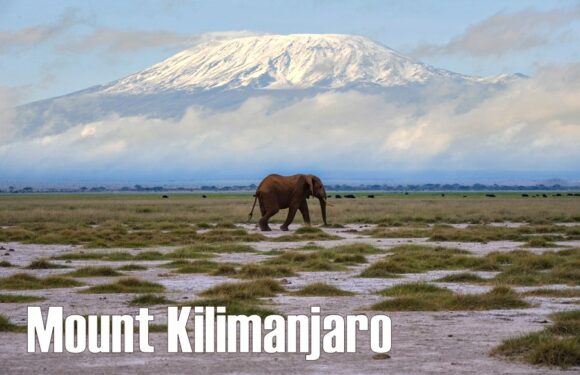 Mount Kilimanjaro: The Highest Mountain in Africa